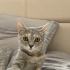 AÇIKLAMAYI OKUYUNUZ LÜTFEN fotoğraf