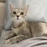 AÇIKLAMAYI OKUYUNUZ LÜTFEN fotoğraf