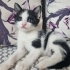 Annesini kaybetmiş fotoğraf