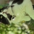 Kurtarıcı meleğini arıyor fotoğraf