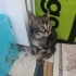 Kendime yeni sıcak huzurlu Bir yuva Arıyorum. fotoğraf