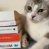 Cana yakın, seven bir Gül fotoğraf