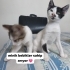 3 Bebiş Kardeş Seç Beğen Al fotoğraf
