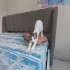 3 Bebiş Kardeş Seç Beğen Al fotoğraf