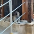 ACİL YUVA Minik bebek yuva arıyor fotoğraf