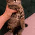 AÇIKLAMAYI OKUYUNUZ LÜTFEN fotoğraf