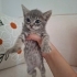 Sokakta ağlarken buldugumuz bu masum cana yuvanızı açar mısınız fotoğraf
