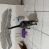 ÇOOKK SAKİN BİR KEDİ fotoğraf