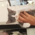 Rifki seni bekliyor fotoğraf