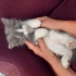 Rifki seni bekliyor fotoğraf
