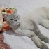Sokağa atılmış bir güzellik fotoğraf