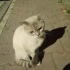 Sokağa atılmış bir güzellik fotoğraf