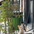 🐱 Minik Bir Can, Sıcak Bir Yuva Arıyor fotoğraf