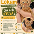 Lokum'un da artık bir ailesi olsun fotoğraf