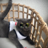 Kedi sahiplendirme fotoğraf