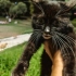 Parka atılmış bir can fotoğraf