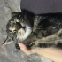 DÜRÜME KALICI YUVA fotoğraf