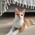 ÇÖPSÜZ ÜZÜMÜN YUVASI OLUR MUSUN? 🏡 fotoğraf