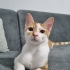 ÇÖPSÜZ ÜZÜMÜN YUVASI OLUR MUSUN? 🏡 fotoğraf