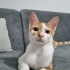 ÇÖPSÜZ ÜZÜMÜN YUVASI OLUR MUSUN? 🏡 fotoğraf
