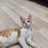 ÇÖPSÜZ ÜZÜMÜN YUVASI OLUR MUSUN? 🏡 fotoğraf