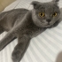 AÇIKLAMAYI OKUYUNUZ LÜTFEN fotoğraf