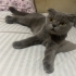 AÇIKLAMAYI OKUYUNUZ LÜTFEN fotoğraf