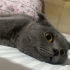 AÇIKLAMAYI OKUYUNUZ LÜTFEN fotoğraf