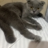 AÇIKLAMAYI OKUYUNUZ LÜTFEN fotoğraf