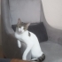 Oyuncu bir masum fotoğraf