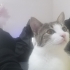 Oyuncu bir masum fotoğraf