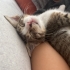 Çuvalın içinde ölüme terk edilmişlerdi fotoğraf