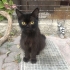 GÜZEL KIZIMIZA ACİL YUVA ARIYORUZ fotoğraf