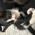 Beni sevicek bi aile arıyorum fotoğraf