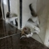apartman bebişleri fotoğraf
