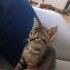 Öksüz yetim ama şanslı fotoğraf