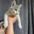 Eve Alıştı Sokakta Yapamaz fotoğraf