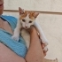 Pikaçu'ya Kış Gelmeden Yuva fotoğraf
