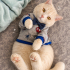 Ücretsiz sahiplenme British kedi fotoğraf