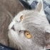 Terk edilmiş bu güzel çocuğun ailesi olur musunuz?🥺 fotoğraf