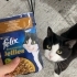 Mossyi Sahiplendirmek Zorundayız🥹 fotoğraf
