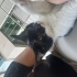 Sevilmeye Hasret Oyuncu Oğlan fotoğraf