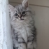 Minnoş bebişe ömürlük yuva fotoğraf