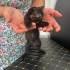 Oyununcu bir bebek fotoğraf