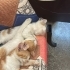 3 erkek 1 dişi 11.06.2026 doğumlular fotoğraf