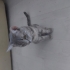 Lilith Yeni Evini ve Sahiplerini Bekliyor fotoğraf