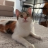 Akıllı kızımıza Yuva arıyoruz fotoğraf