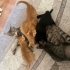 BİRBİRİNDEN TATLI BEBEKLER SICAK YUVA ARIYOR! fotoğraf