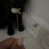 Eros’a yuva arıyoruz fotoğraf