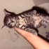 Bu bebeklere sıcacık yuva arıyoruz fotoğraf